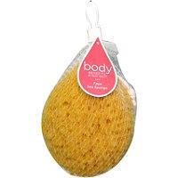 body-benefits-faux-sea-sponge